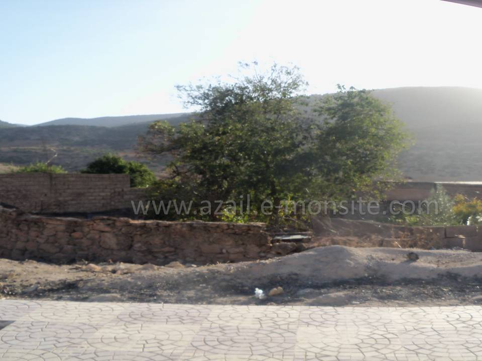 Tafessera (43)