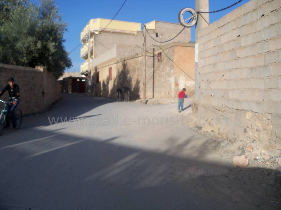 Tafessera (45)