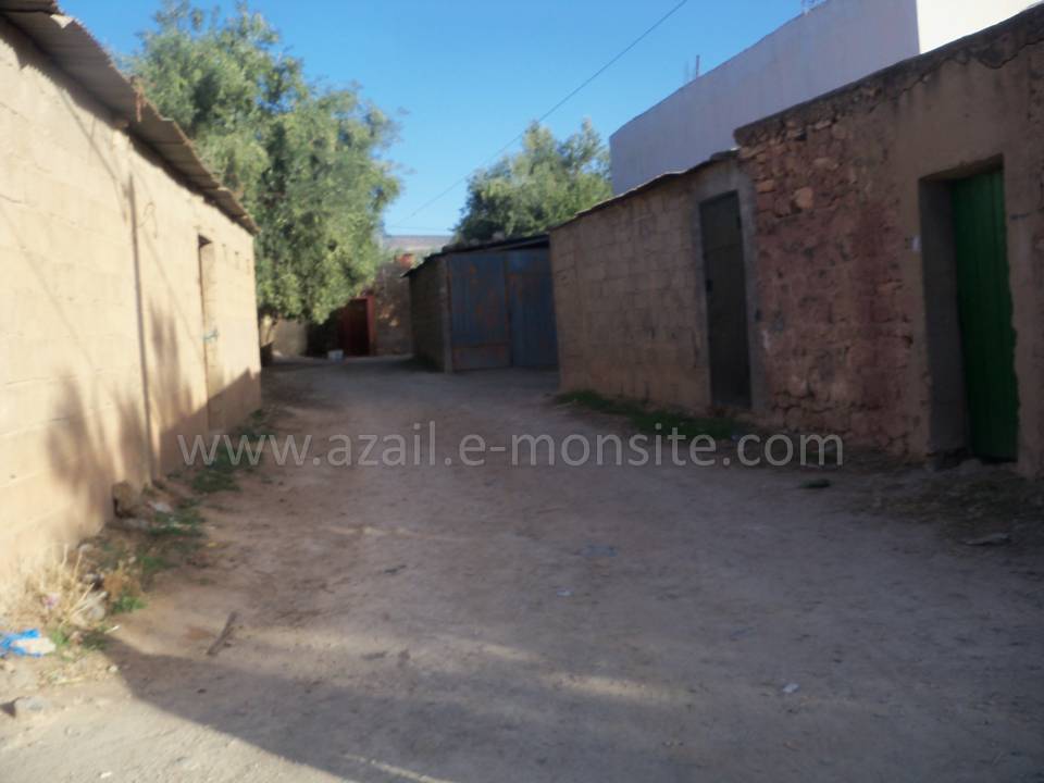 Tafessera (48)