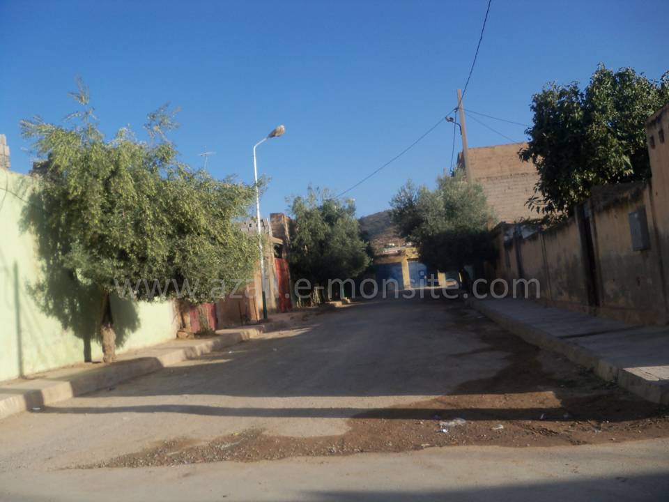 Tafessera (49)