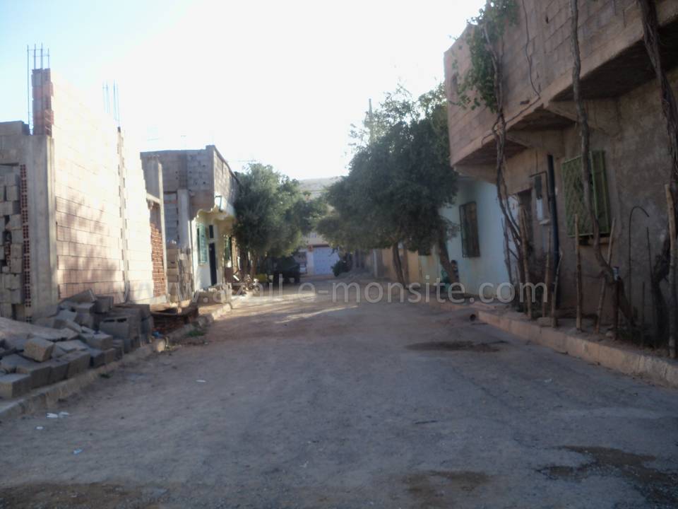Tafessera (50)