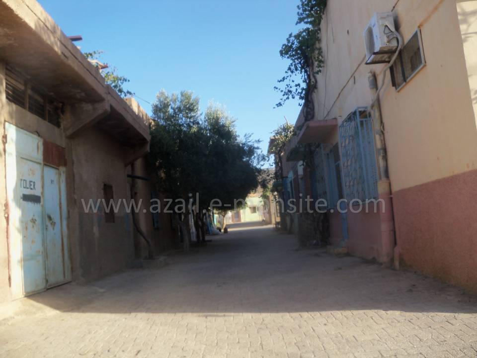 Tafessera (52)