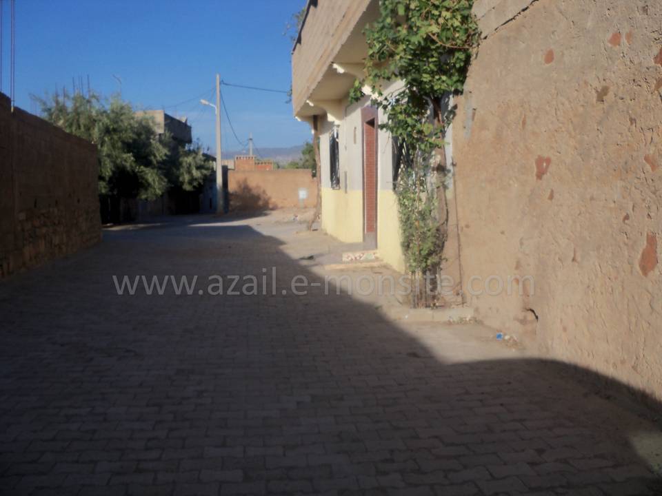 Tafessera (53)