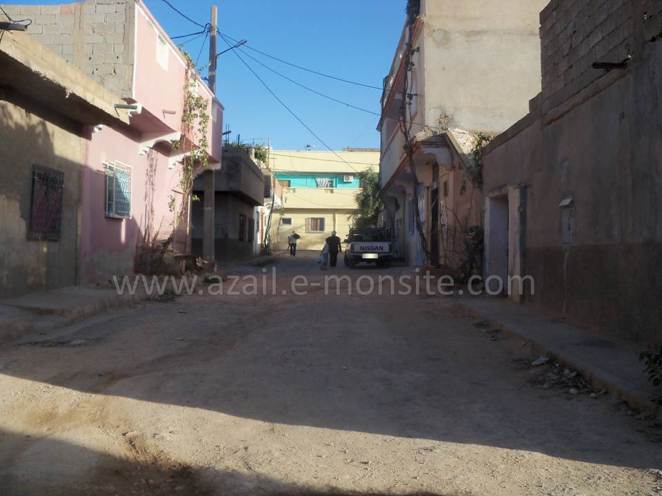 Tafessera (56)