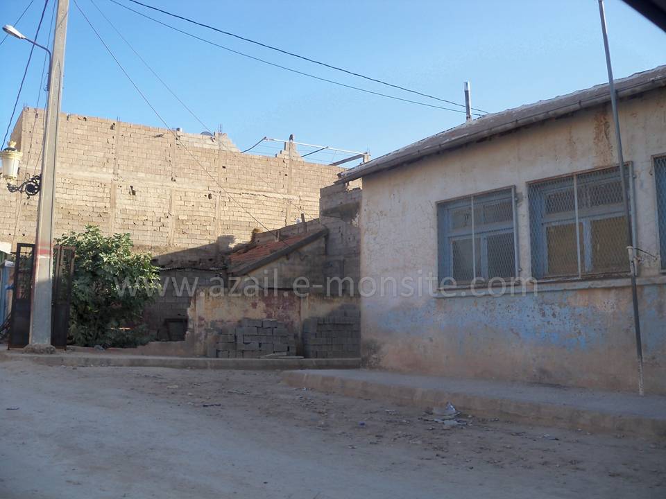 Tafessera (57)