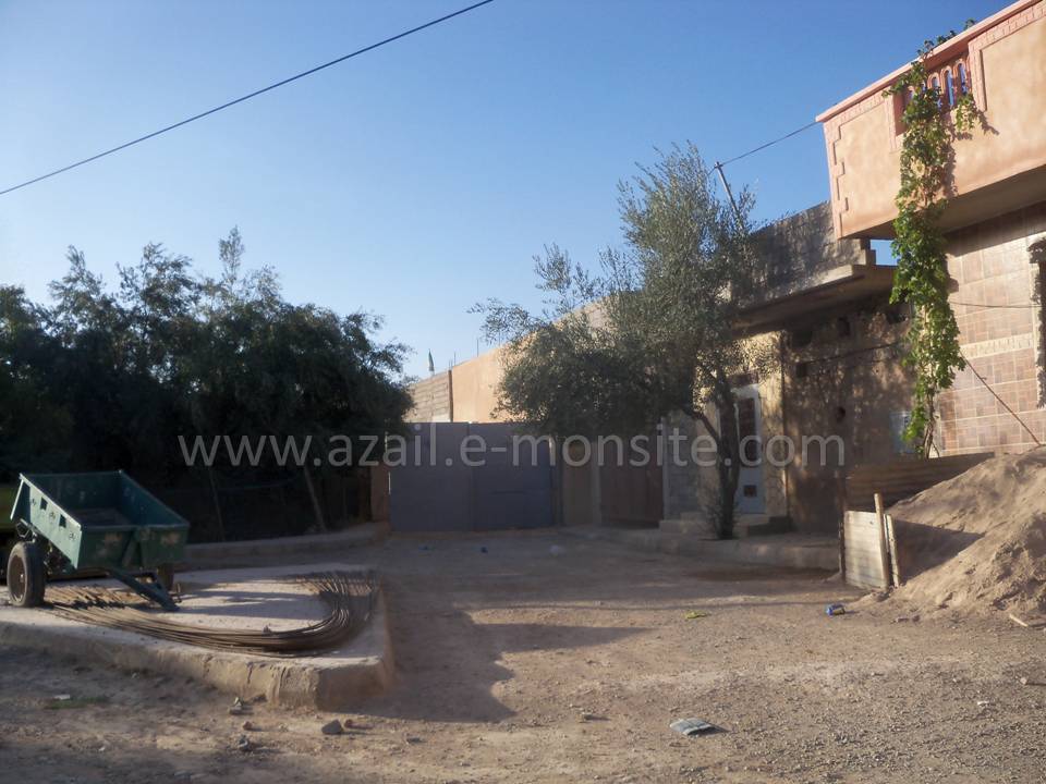 Tafessera (58)