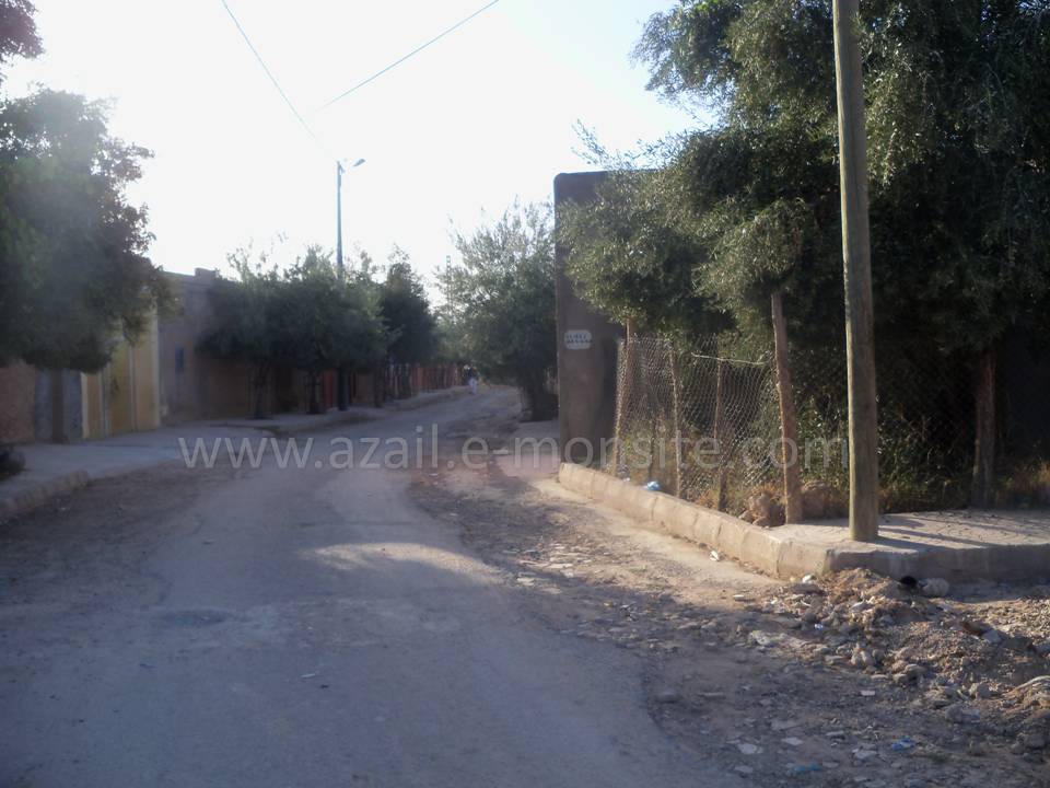 Tafessera (59)