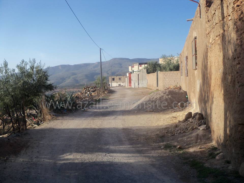 Tafessera (61)
