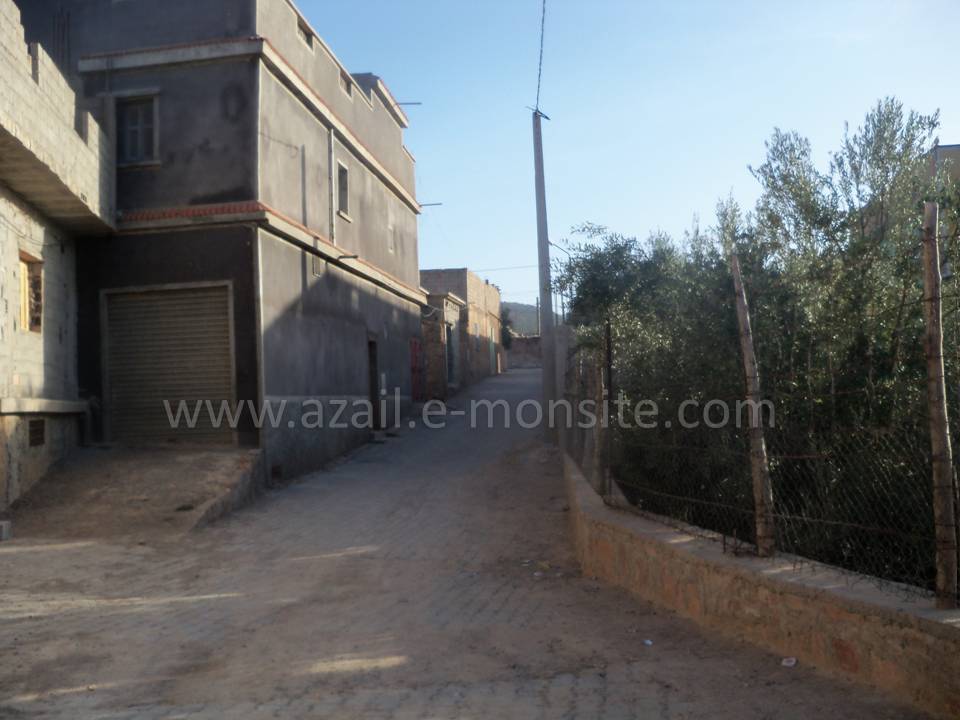 Tafessera (64)