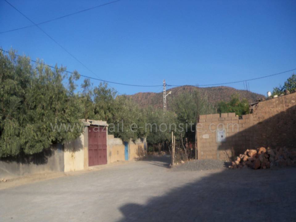 Tafessera (66)