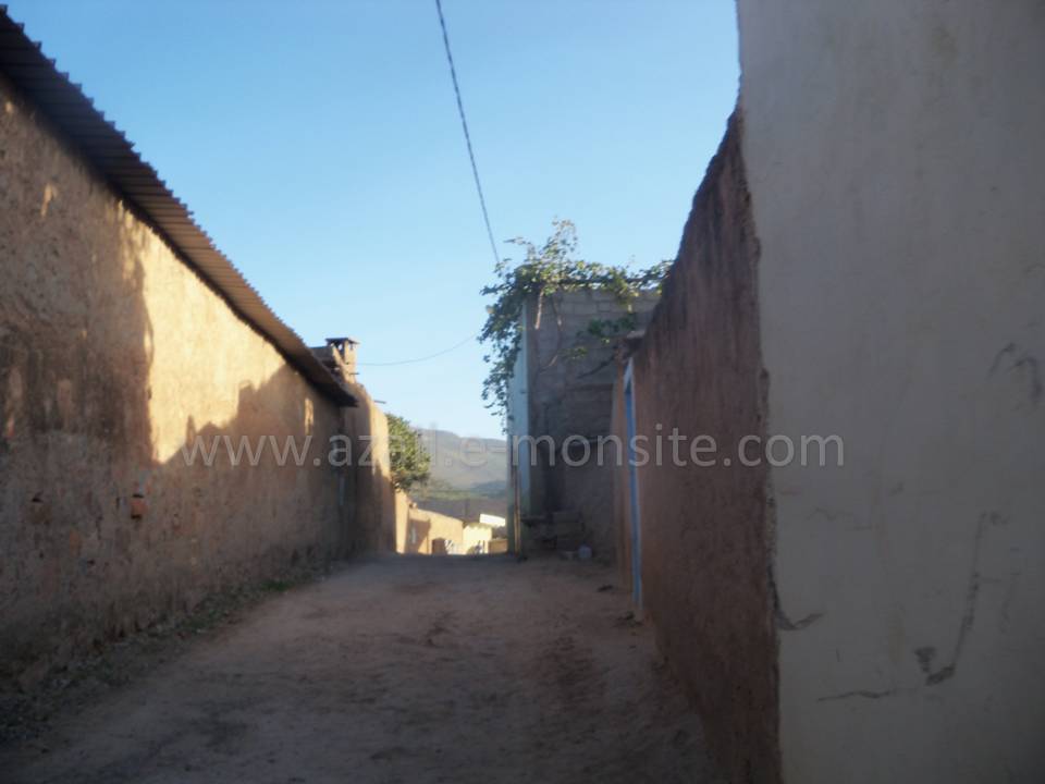 Tafessera (68)