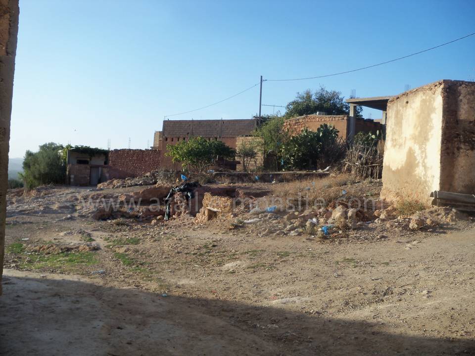 Tafessera (72)