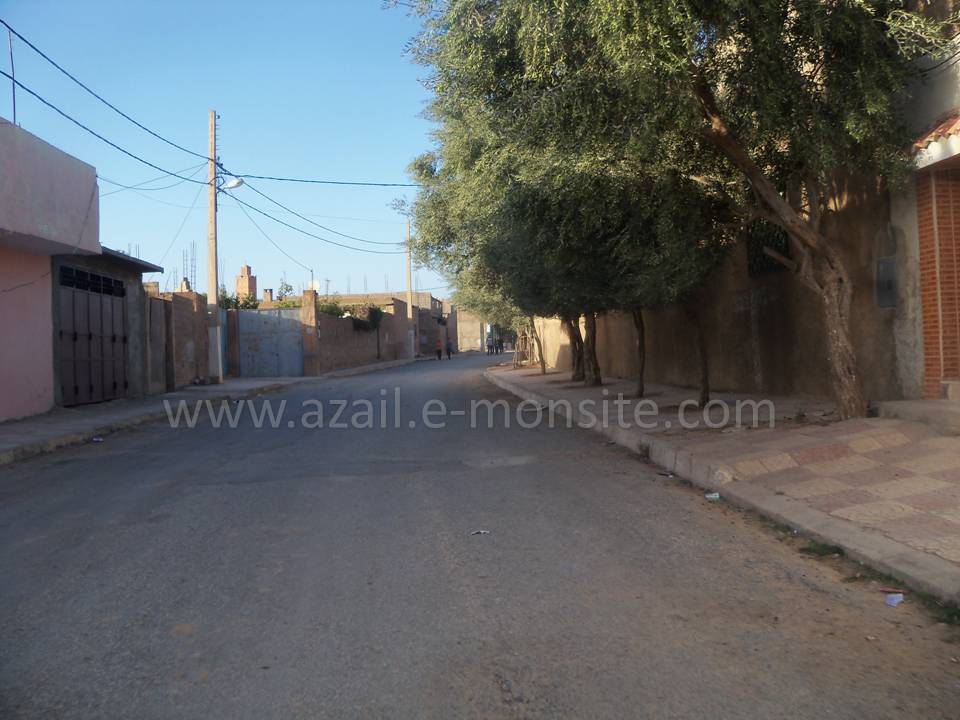 Tafessera (77)