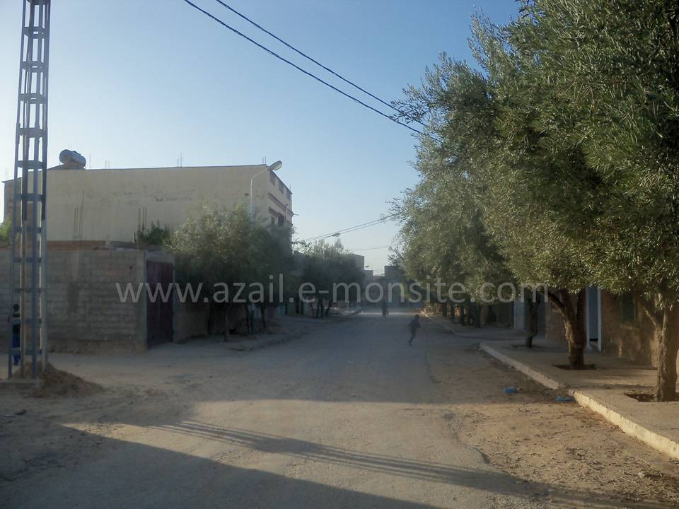 Tafessera (82)