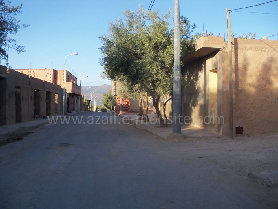 Tafessera (83)