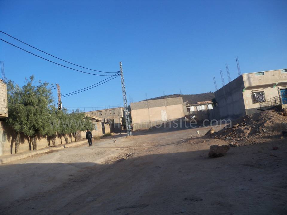 Tafessera (84)