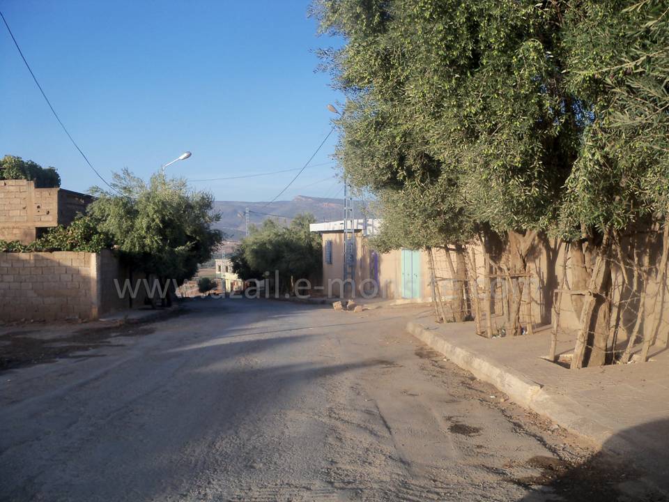 Tafessera (86)