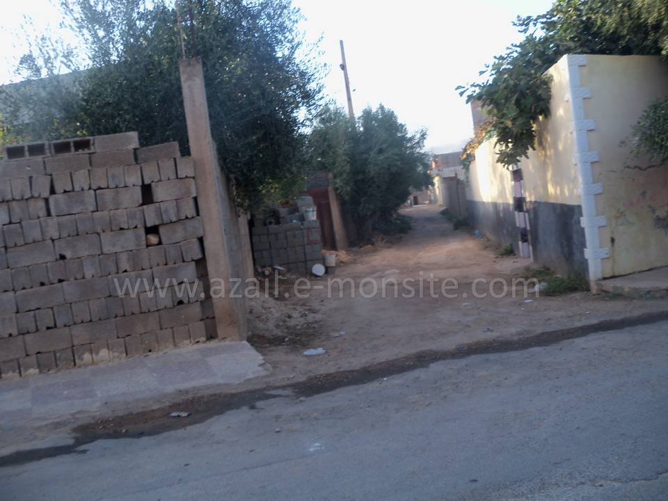 Tafessera (89)