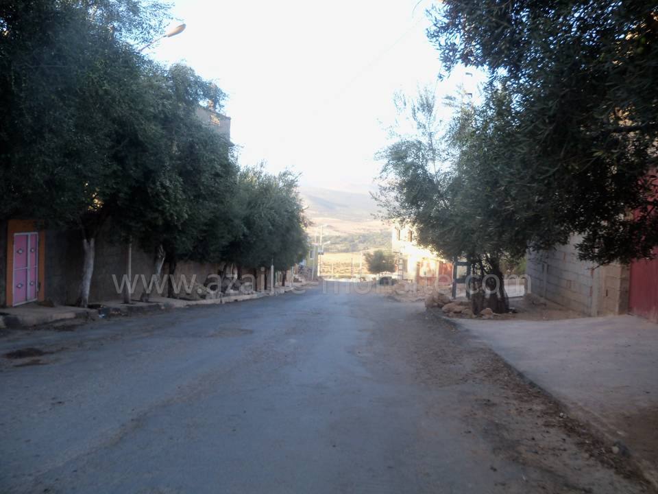 Tafessera (90)