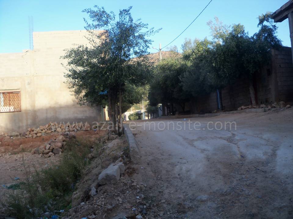 Tafessera (91)
