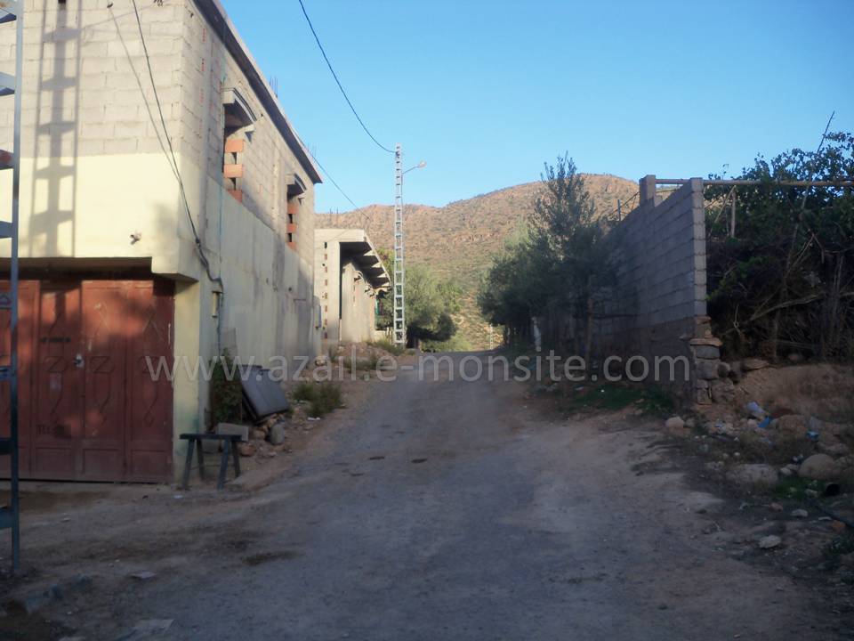 Tafessera (92)