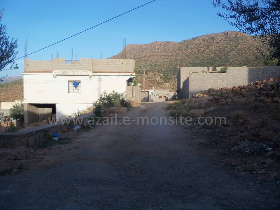 Tafessera (93)