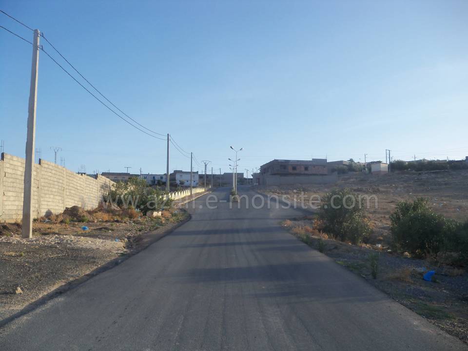 Tafessera (98)