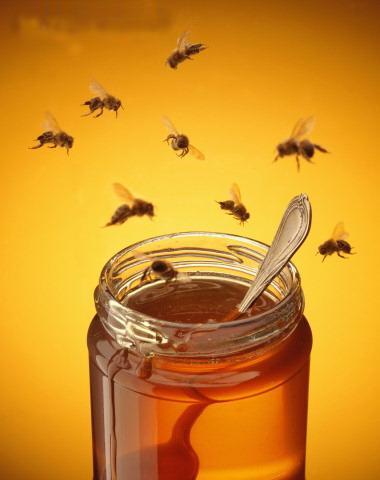 Miel pot abeilles copie 1